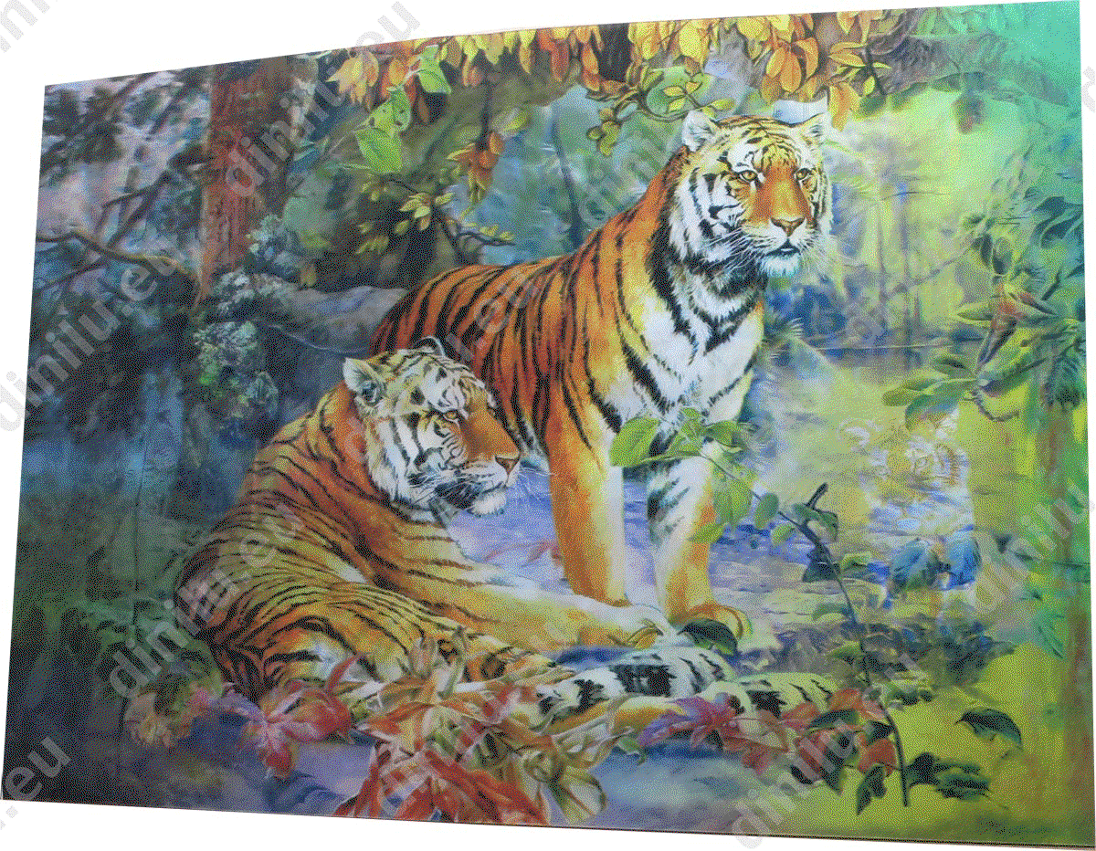 Lenticular print 25x35cm image