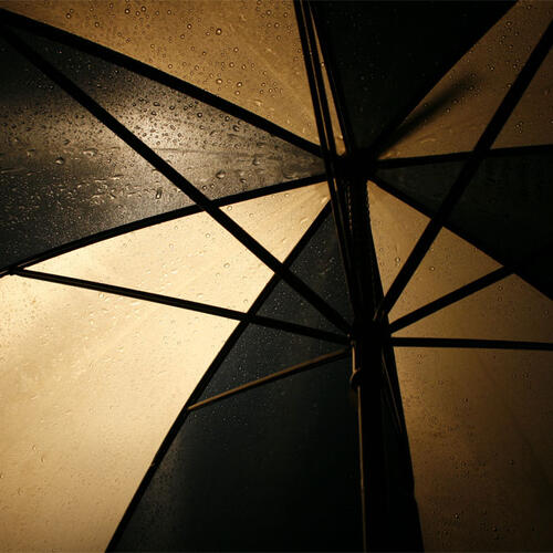 Paraplyn